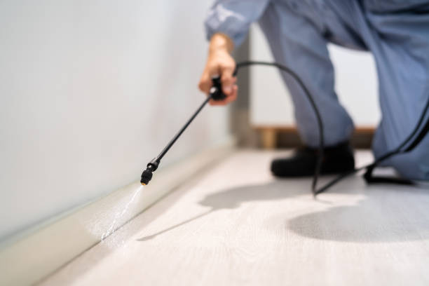Licensed Termite Control service in Coke County County, TX - Nex Pest Control