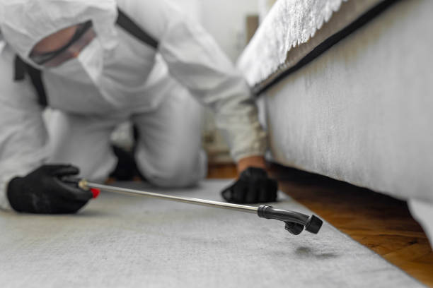 Professional Termite Control technician working in Coke County County, TX